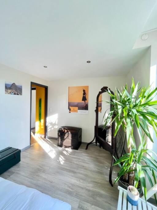 Le Grenier A Sel - Reims Apartamento Exterior foto